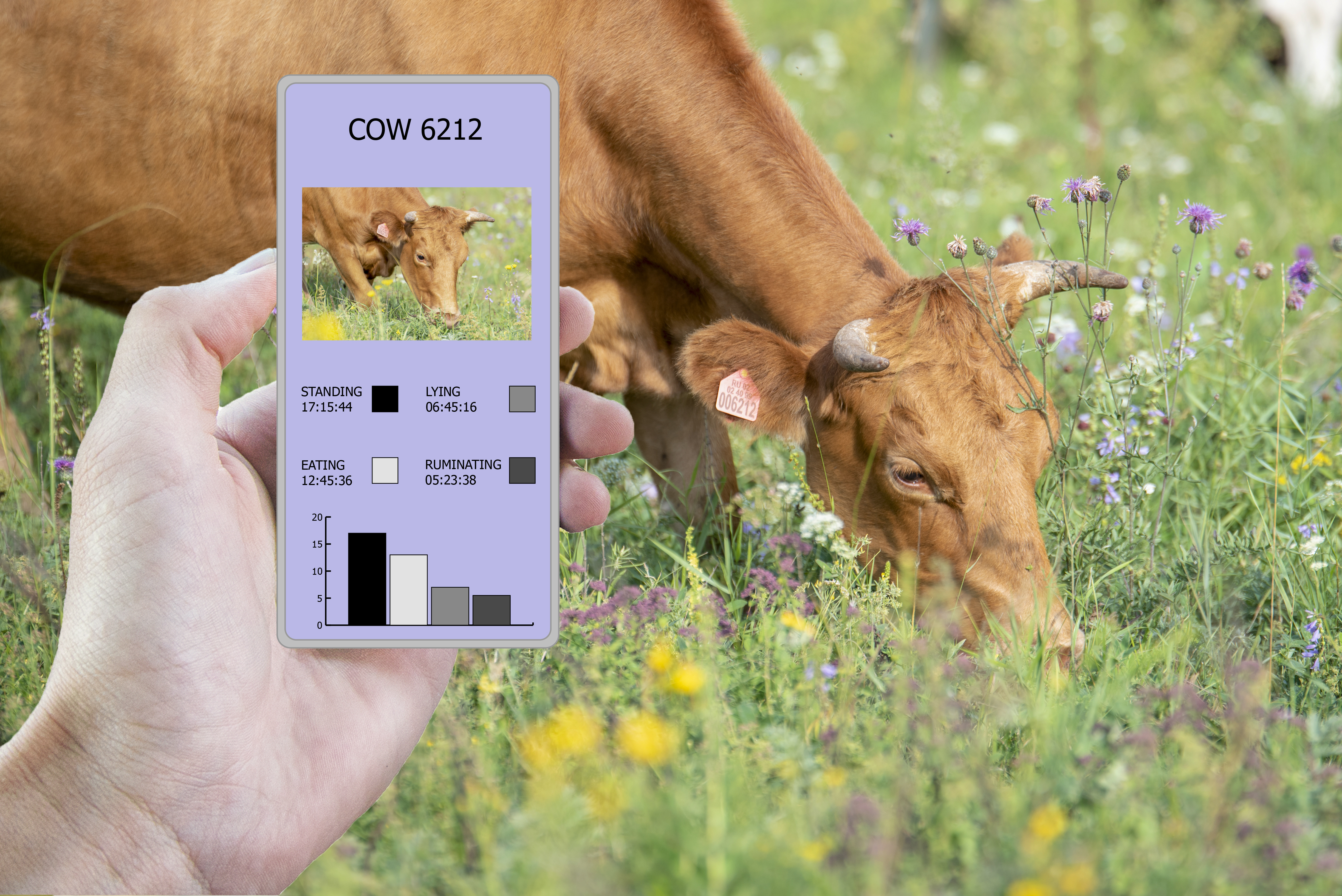 Tecnologie digitali per il monitoraggio degli animali in allevamento