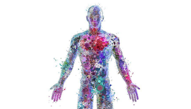 Microbioma e ricerca, pubblicato l’Action Plan for the Italian microbiome initiative
