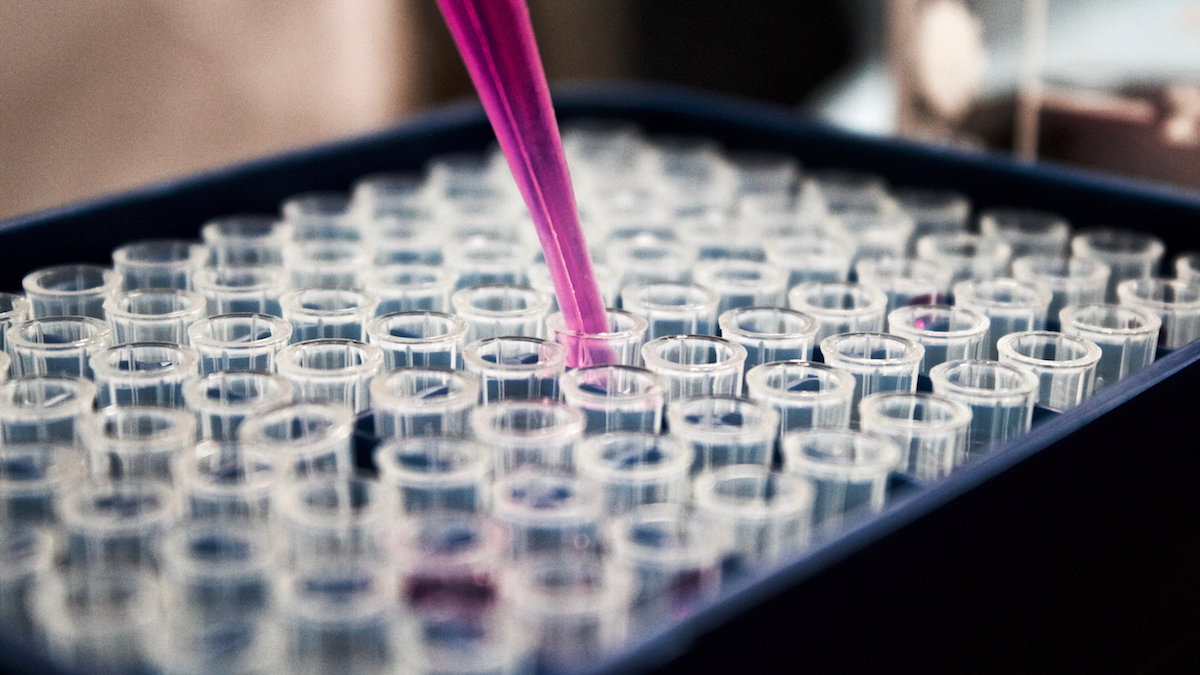 Le aziende della Rete protagoniste delle scienze della vita