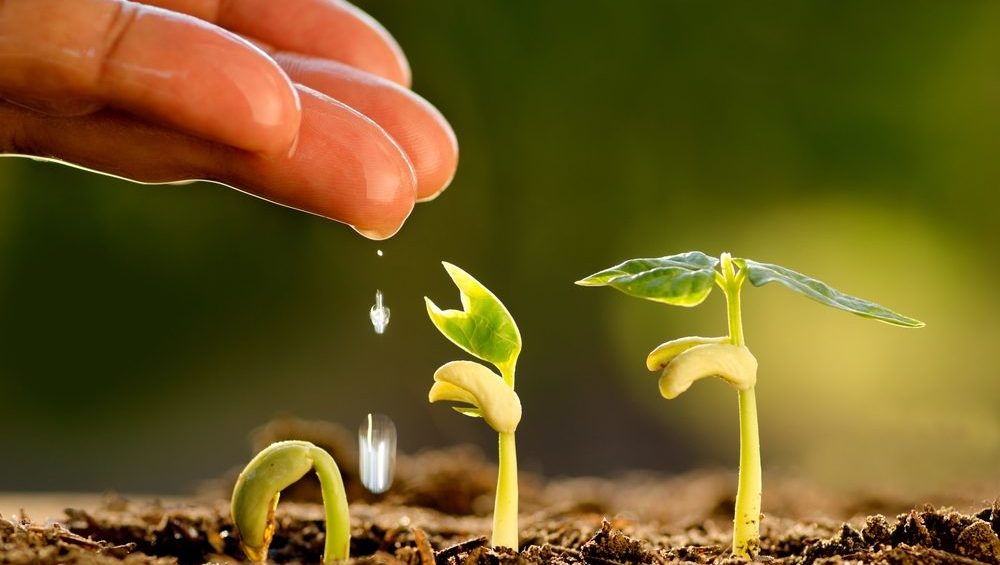 Webinar: “Trend tecnologici e nuove strategie per ridisegnare l’agrifood italiano”