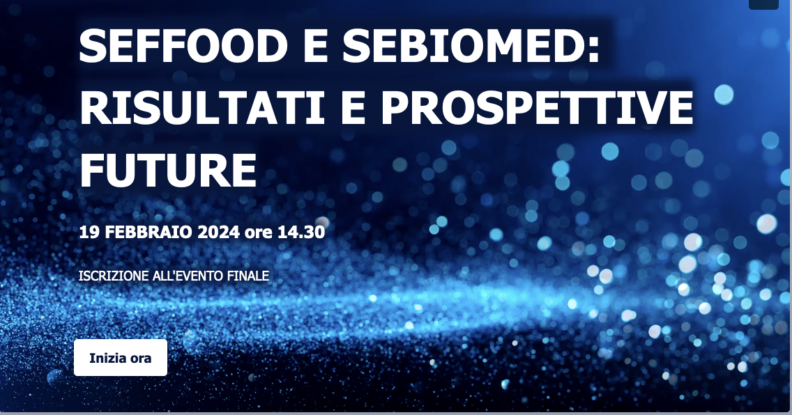 Programma Operativo Regionale